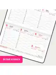 Еженедельник датированный 2025 Brauberg, планер, планинг, записная книжка А6