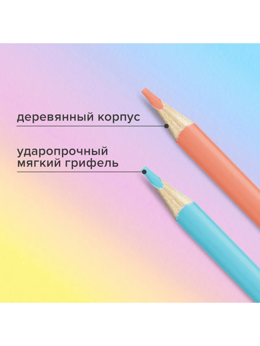 Карандаши цветные BRAUBERG PASTEL, 24 пастельных цвета, трёхгранные, грифель 3 мм, 181851