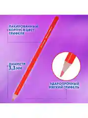 Карандаши цветные мягкие художественные для рисования Brauberg Premium 50 цветов, 181935