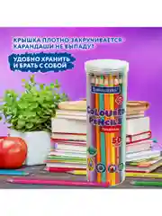 Карандаши цветные мягкие художественные для рисования Brauberg Premium 50 цветов, 181935