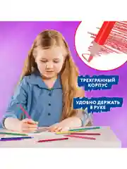 Карандаши цветные мягкие художественные для рисования Brauberg Premium 50 цветов, 181935