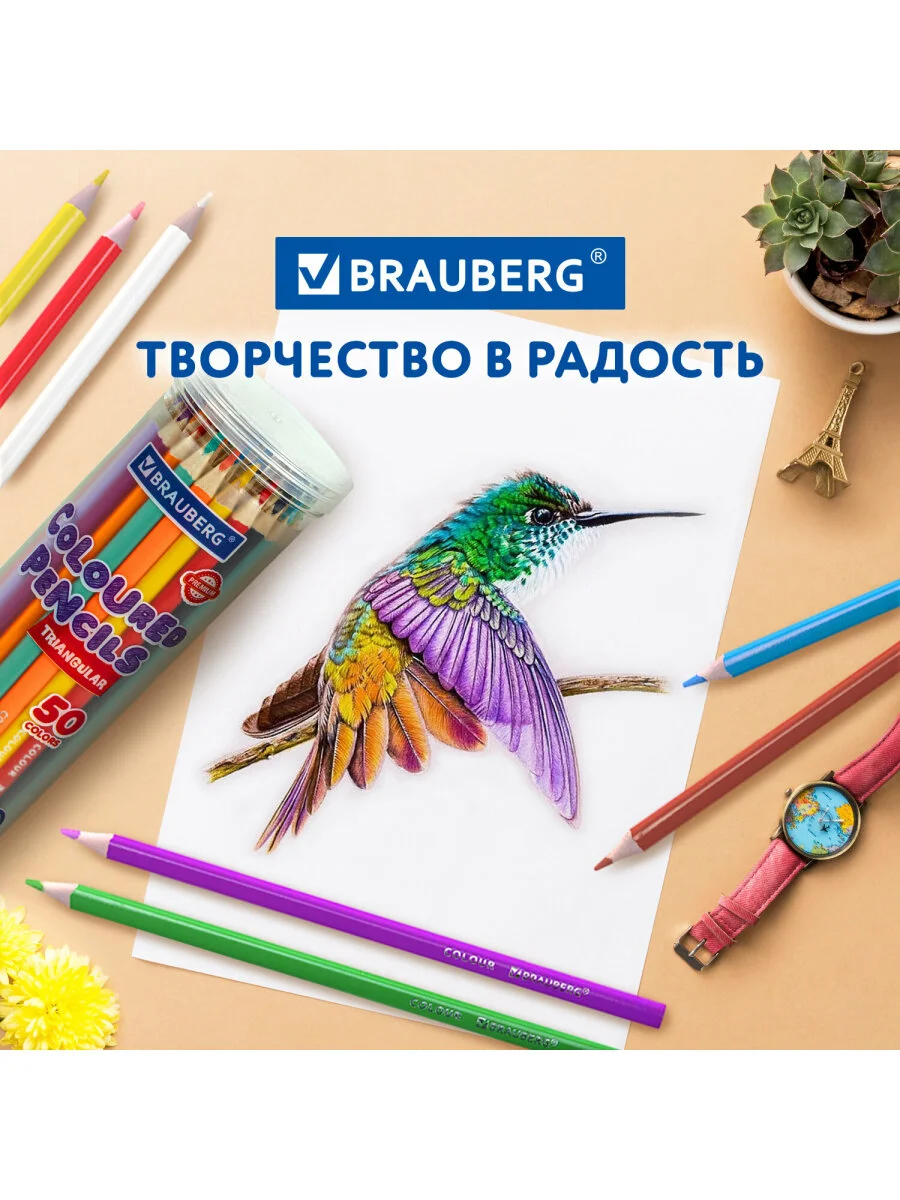 Карандаши цветные мягкие художественные для рисования Brauberg Premium 50 цветов, 181935