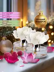 Диффузор для дома, ароматический, 60 мл, 2 шт