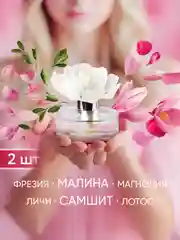 Диффузор для дома, ароматический, 60 мл, 2 шт