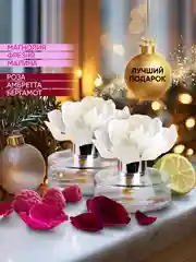 Диффузор для дома, ароматический, 60 мл, 2 шт
