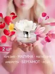 Диффузор для дома, ароматический, 60 мл, 2 шт