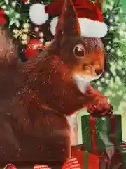 Зеленый новогодний подарочный пакет, 1шт/3шт/5шт/10шт/15шт