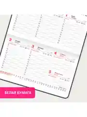 Еженедельник датированный 2025 Brauberg, планер, планинг, записная книжка А6