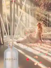 Ароматизатор для дома, диффузор ароматический, 2 шт