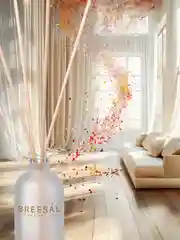 Ароматизатор для дома, диффузор ароматический, 2 шт