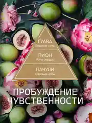 Диффузор для дома, ароматизатор ароматический, 70 мл