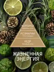 Диффузор для дома, ароматизатор ароматический, 70 мл