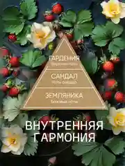 Диффузор для дома, ароматизатор ароматический, 70 мл