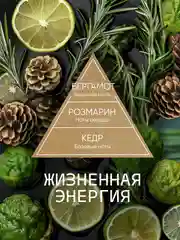 Ароматизатор для дома диффузор ароматический 2 шт