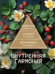 Ароматизатор для дома диффузор ароматический 2 шт