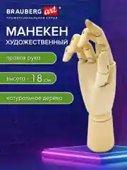 Манекен человека Рука правая художественный Brauberg Art Classic, 192515, деревянный 18 см