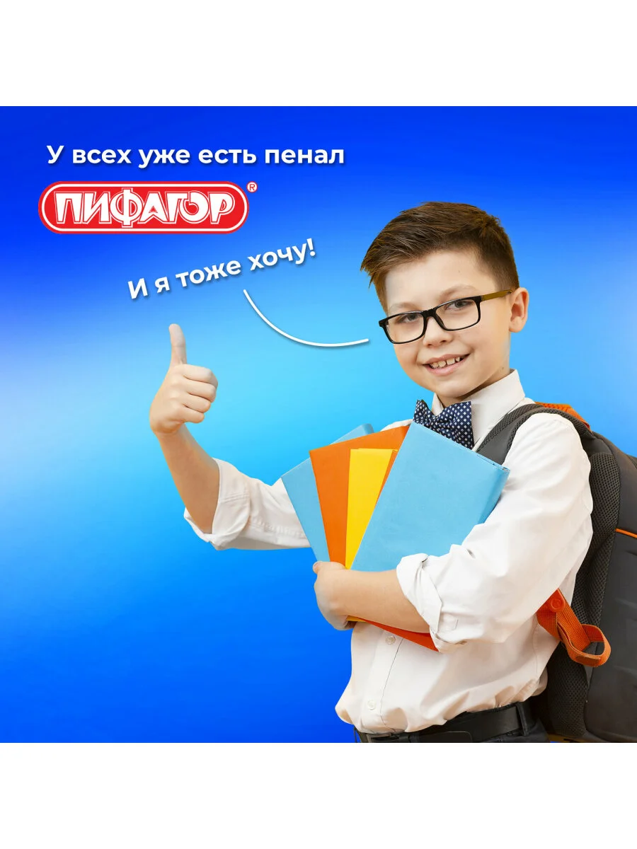 Пенал школьный для ручек, карандашей Пифагор, 2 отделения, 19х11 см, Tank, 270170
