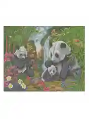 Картина стразами (алмазная мозаика) 40*50 см, Остров сокровищ "Панды", без подрамника