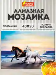 Картина стразами (алмазная мозаика) 40*50 см, Остров сокровищ "Бегущие по волнам"