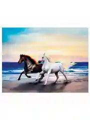 Картина стразами (алмазная мозаика) 40*50 см, Остров сокровищ "Бегущие по волнам"