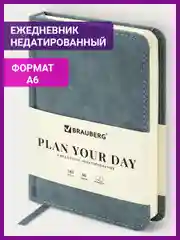 Ежедневник недатированный BRAUBERG Status, 100 х 150 мм, А6, под кожу, 160 л, серо-голубой
