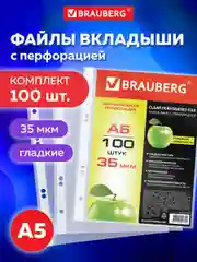 Папки-файлы МАЛОГО ФОРМАТА (148х210мм), А5, ВЕРТИКАЛЬНЫЕ, КОМПЛЕКТ 100 шт, 35мкм, BRAUBERG