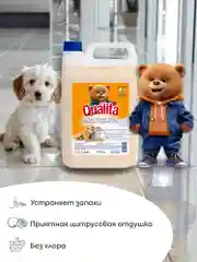 Средство для мытья пола и твердых поверхностей QUALITA Зимний цитрус, 5 литров