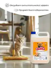 Средство для мытья пола и твердых поверхностей QUALITA Зимний цитрус, 5 литров