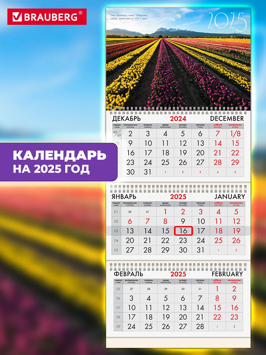Календарь настенный квартальный отрывной 2025 Brauberg Долина цветов, 116098