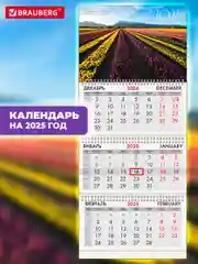 Календарь настенный квартальный отрывной 2025 Brauberg Долина цветов, 116098