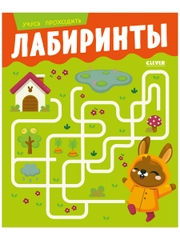 Развивайся и играй! Учусь проходить лабиринты