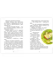 Рубиния чудесное сердце, смелая девочка из рода лесных эльфов. Свет волшебного камня