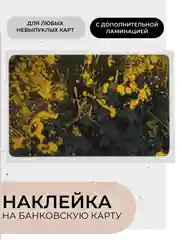 Горчичный наклейки на банковскую карту с ламинацией, стикеры мем, аниме, k-pop, BTS