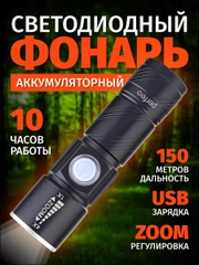 Perfeo Светодиодный фонарь "Regs" PL-304