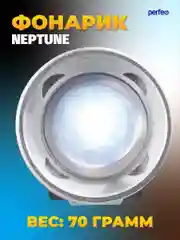 Perfeo Светодиодный фонарь "Regs" PL-304