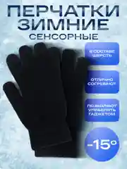 Перчатки мужские сенсорные