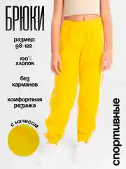 Брюки трикотажные с начесом