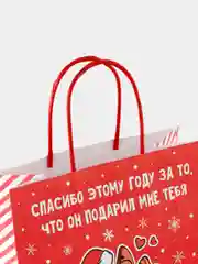 Пастельно-коралловый пакет подарочный новогодний с приколами, 22 х 22 х 11 см