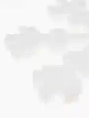 Белый набор Снежинка из пенопласта (10 шт)