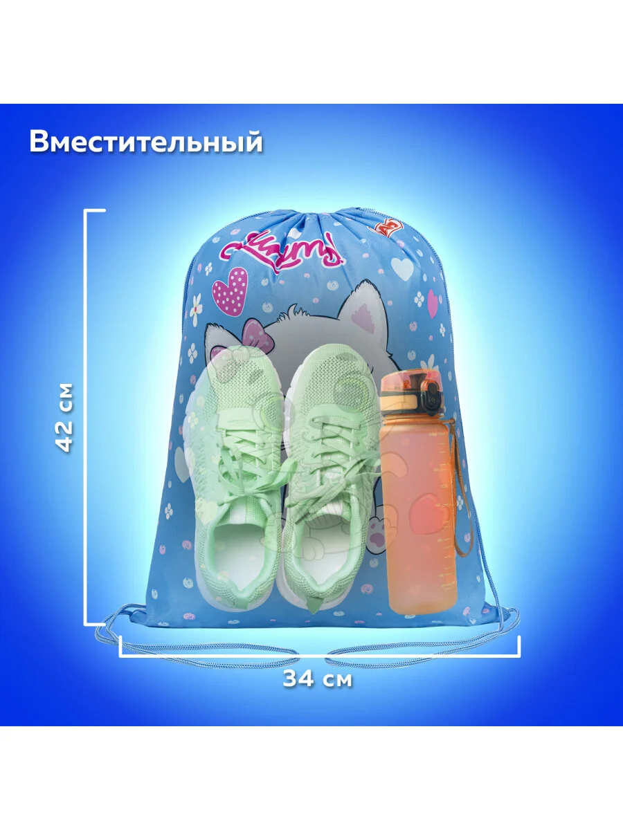 Сумка для сменной обуви Пифагор Yummy Cupcake, 1 отделение, 271603