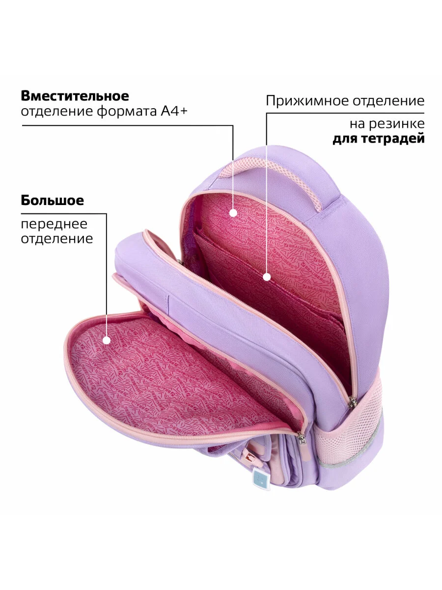 Рюкзак, ранец, портфель детский в школу, 2 отделения и 3 кармана, 39х28х16 см, Brauberg