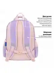 Рюкзак, ранец, портфель детский в школу, 2 отделения и 3 кармана, 39х28х16 см, Brauberg