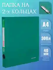 Папка BRAUBERG "Стандарт", на 2х кольцах, 40 мм, зеленая, до 300 листов