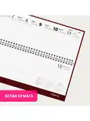 Еженедельник датированный 2025 Staff, планинг, 300х130 мм, на гребне, 64 листа