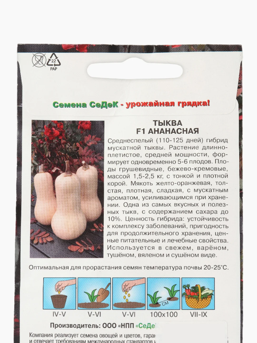 Тыква Ананасная Седек