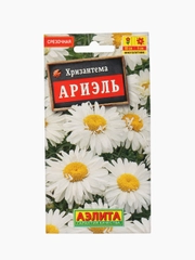 Хризантема Ариэль Аэлита