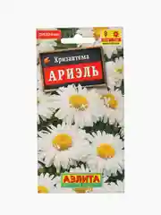 Хризантема Ариэль Аэлита