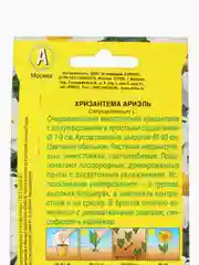 Хризантема Ариэль Аэлита