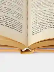 Азбука для родителей. Аллан Фромм