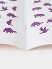 Нейроразминка. Повторяем по образцу. Для детей 5-6 лет. Логвина Е., Чихачева А